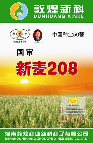 新麥208（鄭育麥029）